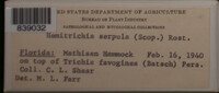 Image Associated With the Occurence